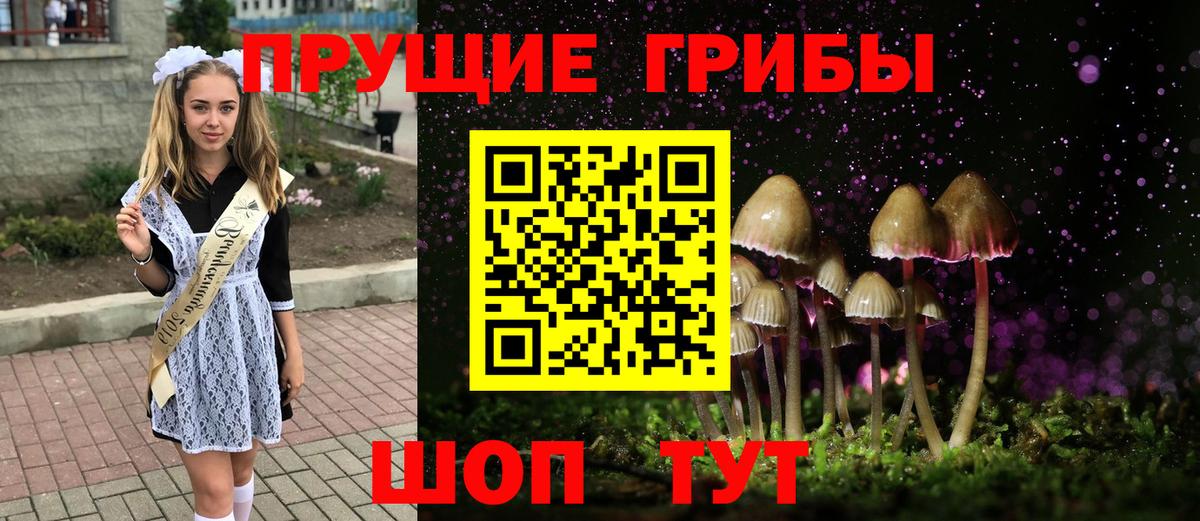 Псилоцибиновые грибы Cubensis Ленинск-Кузнецкий