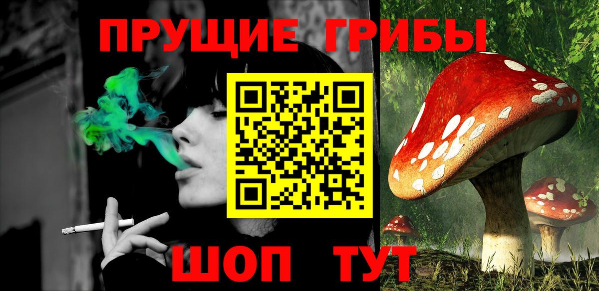 Ленинск-Кузнецкий  Псилоцибиновые грибы мухоморы  Вход с VPN 